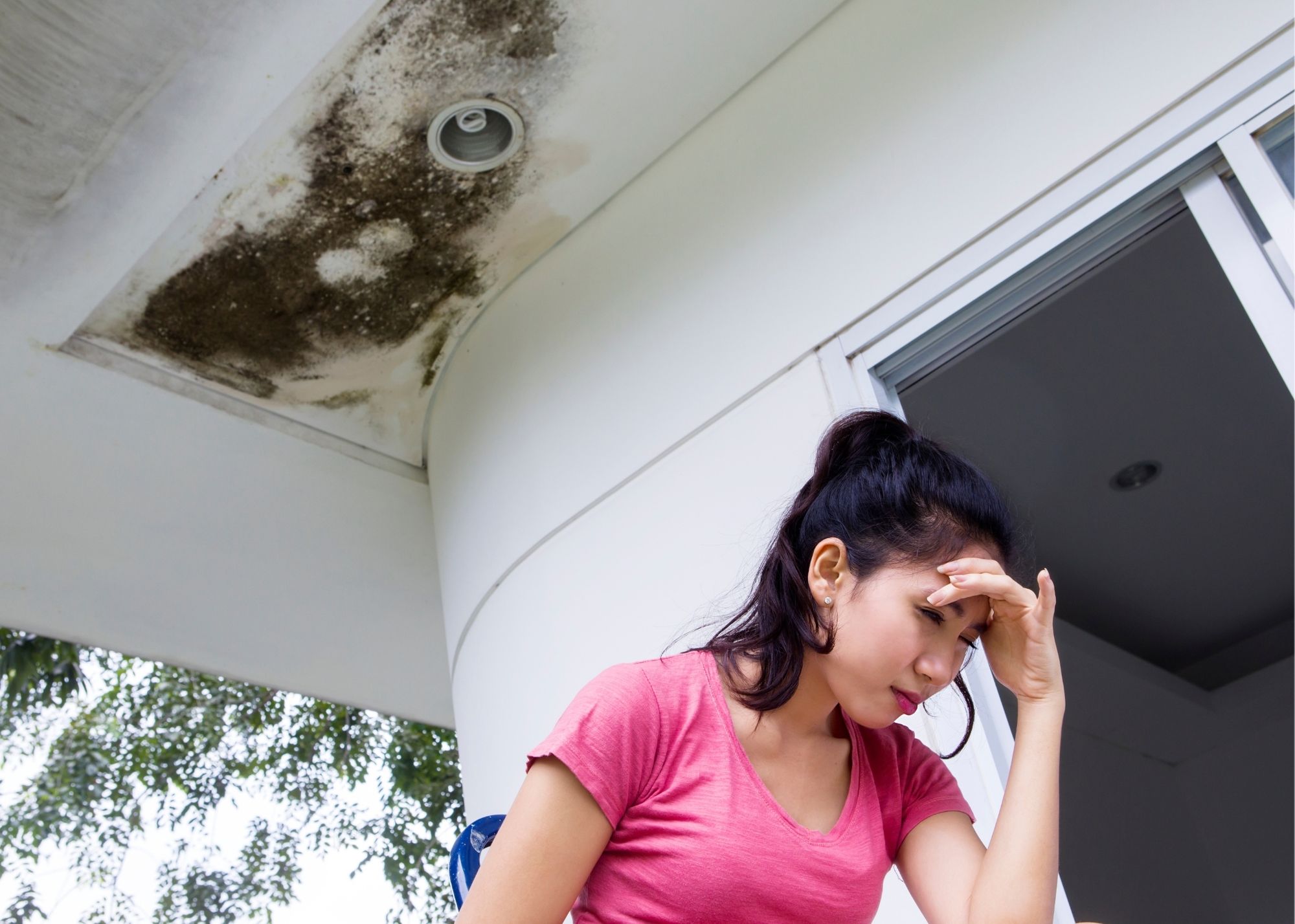 Technician inspecting attic mold near roof framing in Overland Park