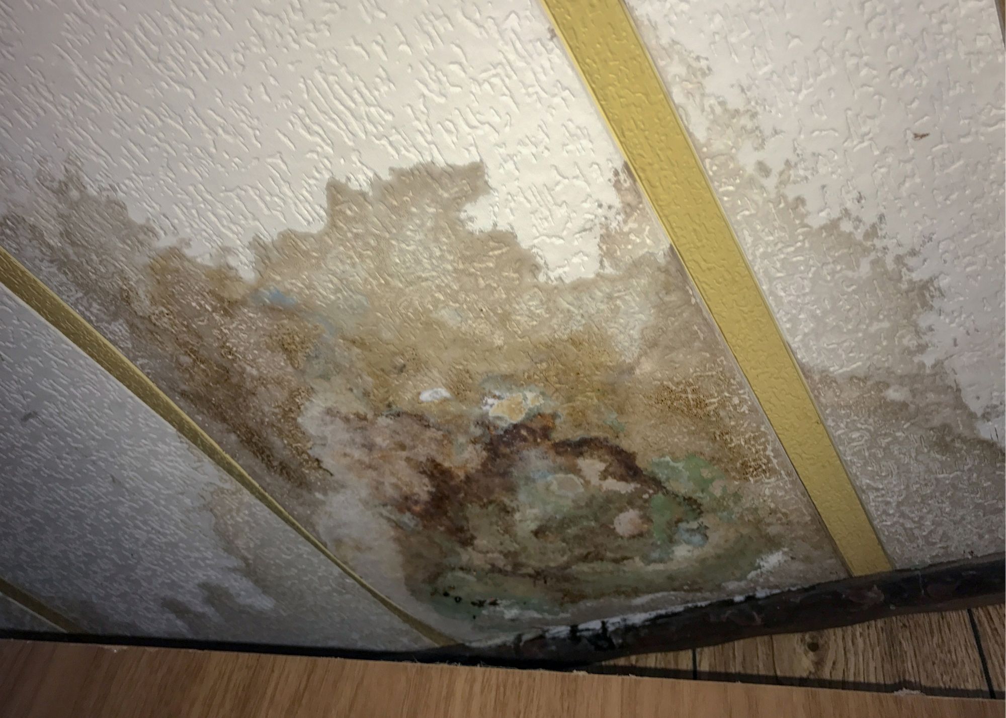 Water stain spreading across a ceiling corner in an Overland Park home