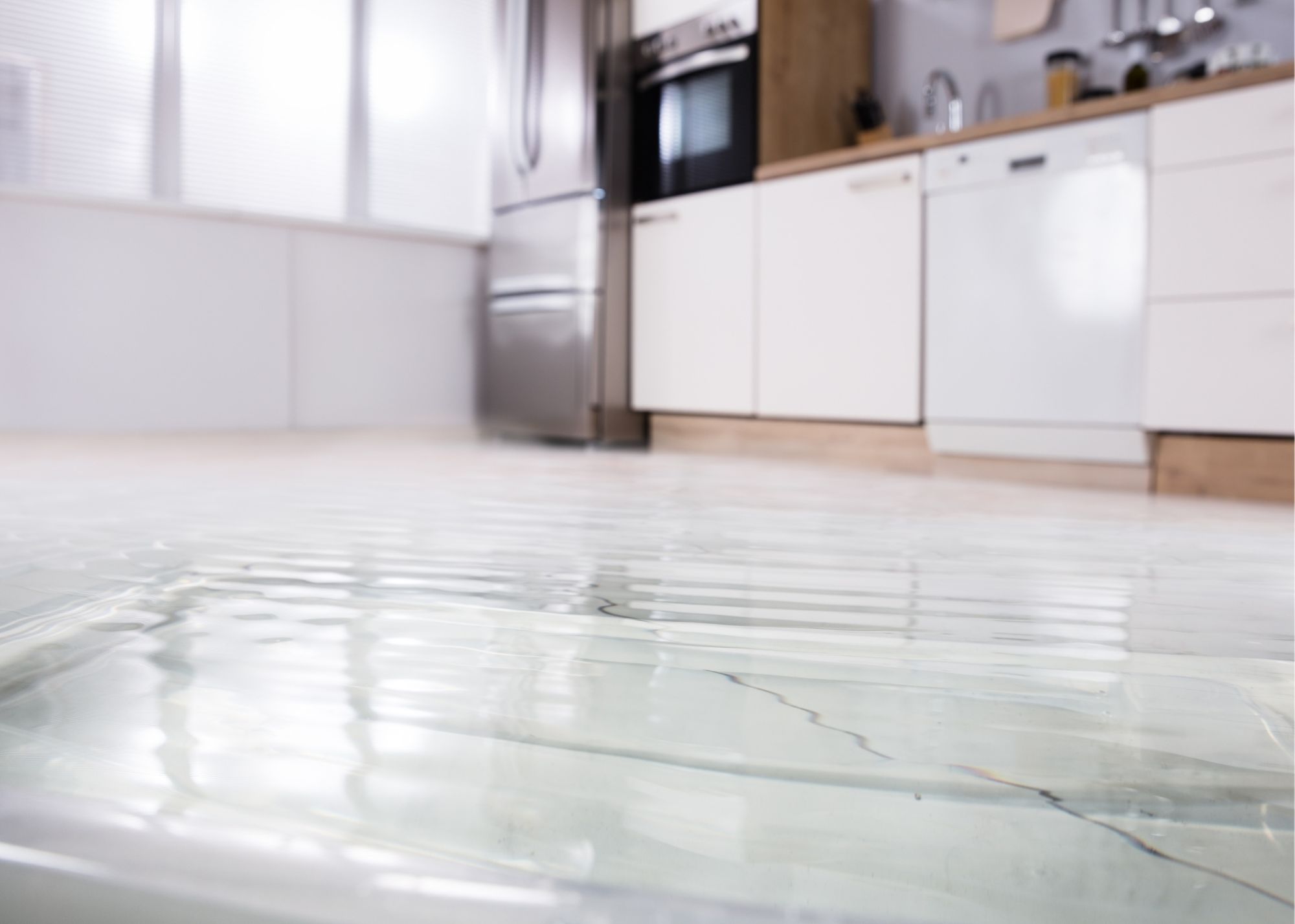 Contaminated water covering a floor after a sewage backup in Overland Park