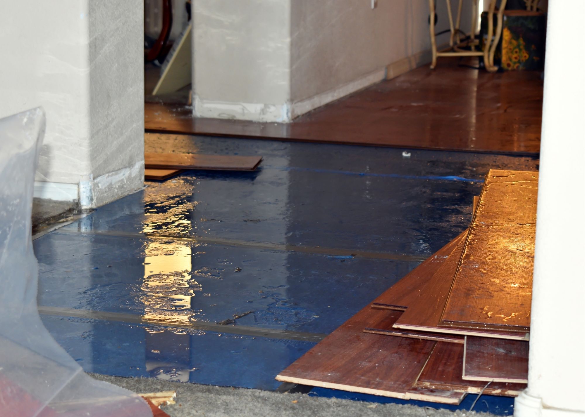 Water-damaged hardwood flooring being assessed in an Overland Park, KS home