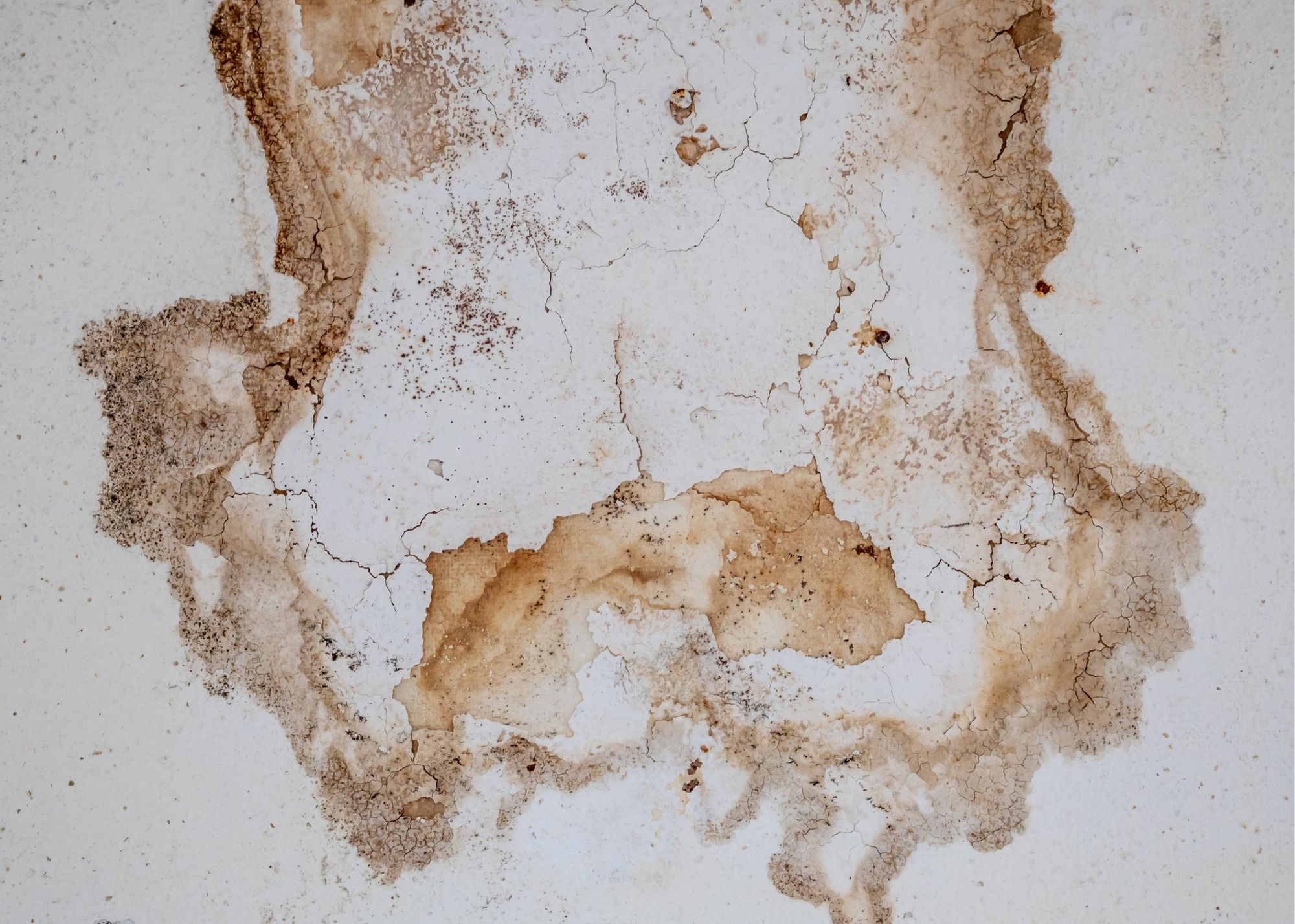 Water stain on a wall showing trapped moisture in an Overland Park home